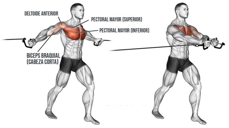 Incline Bench Press